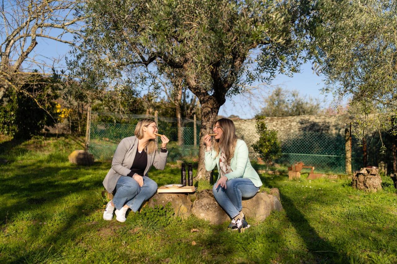 Agriturismo Bellandi Santa Lucia  Kültér fotó