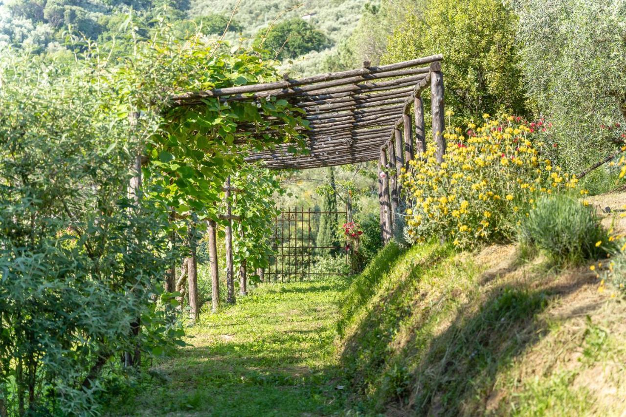 Agriturismo Bellandi Santa Lucia  Kültér fotó