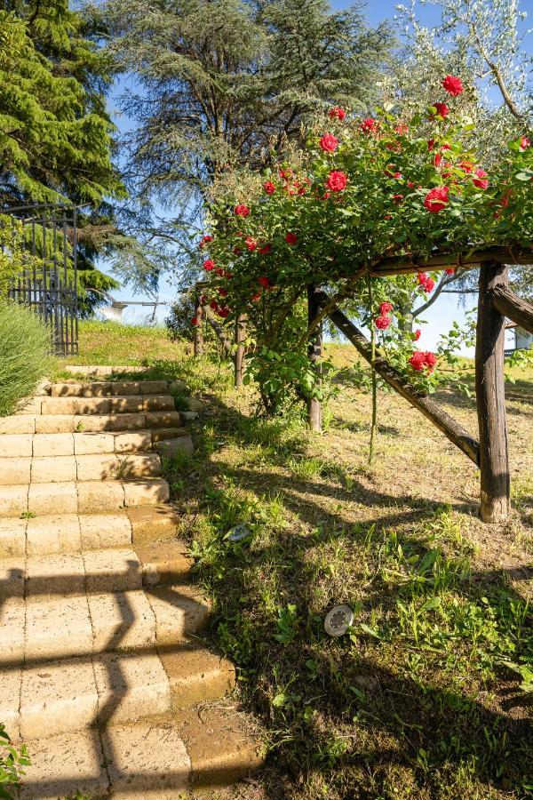 Agriturismo Bellandi Santa Lucia  Kültér fotó